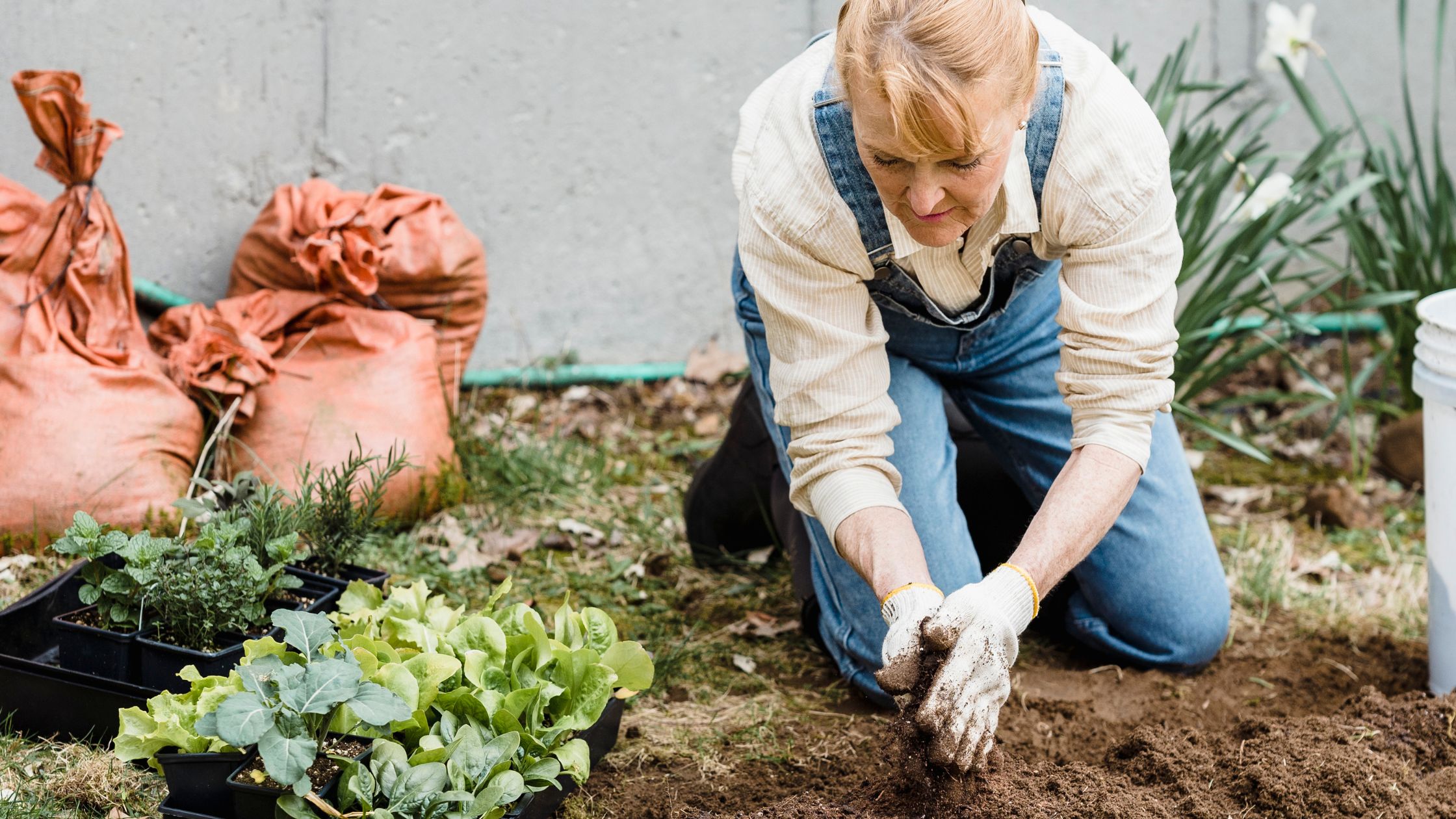 picture of a lady in a backyard garden