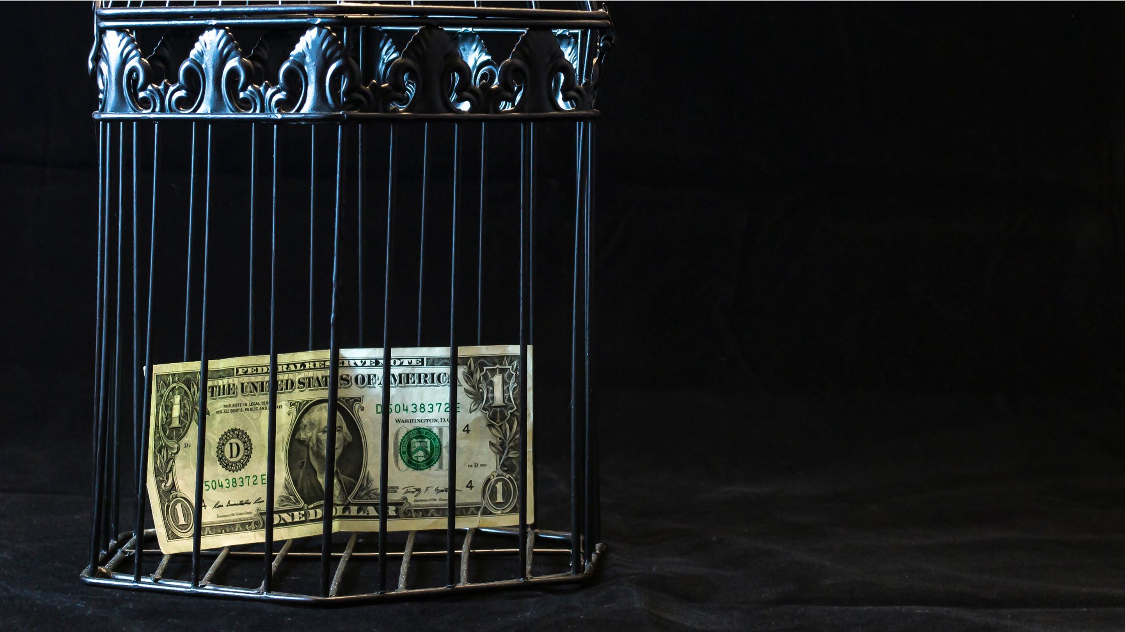 picture of $1 in a cage