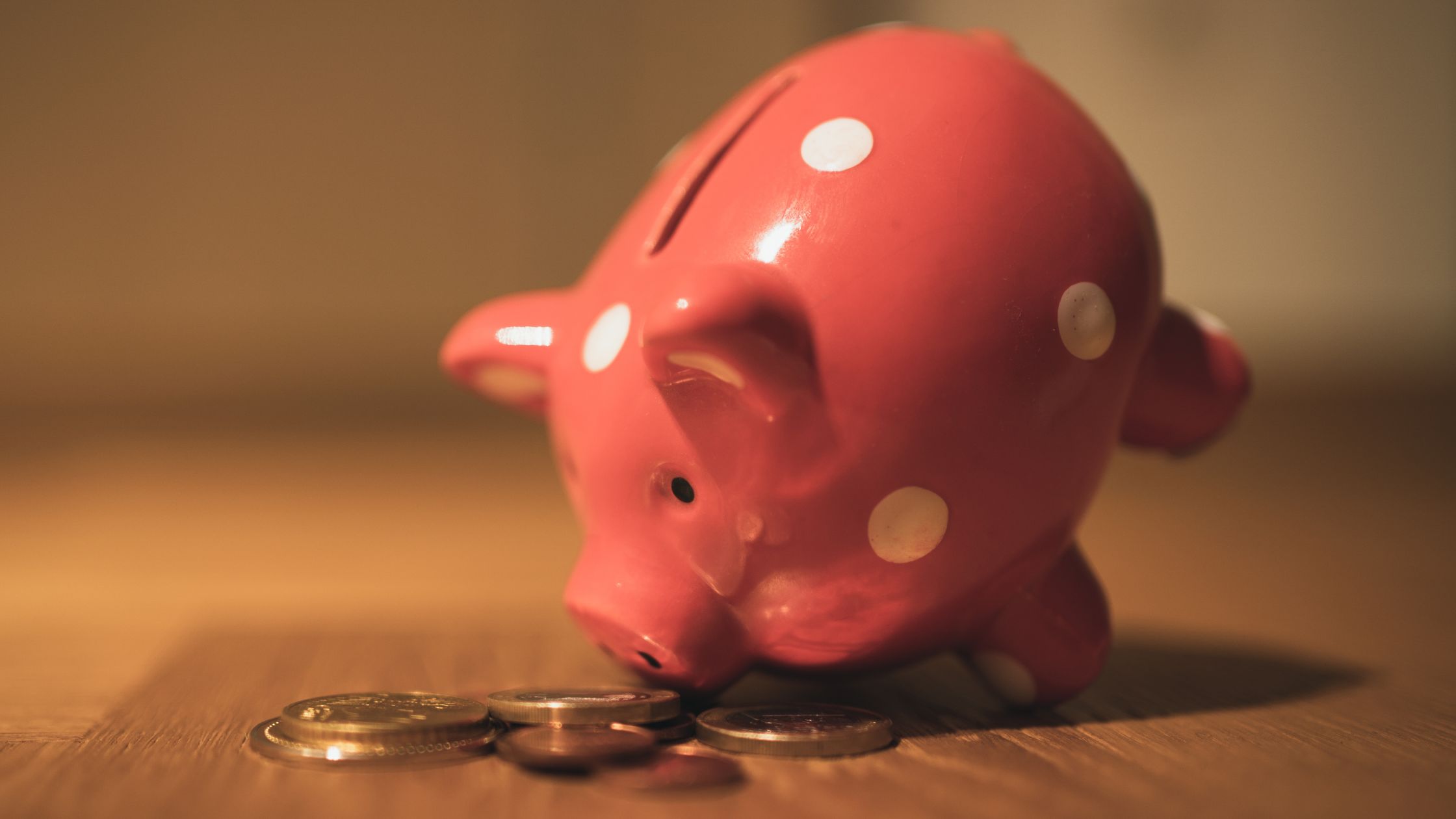 piggy bank - How To Save $10000 in a Year