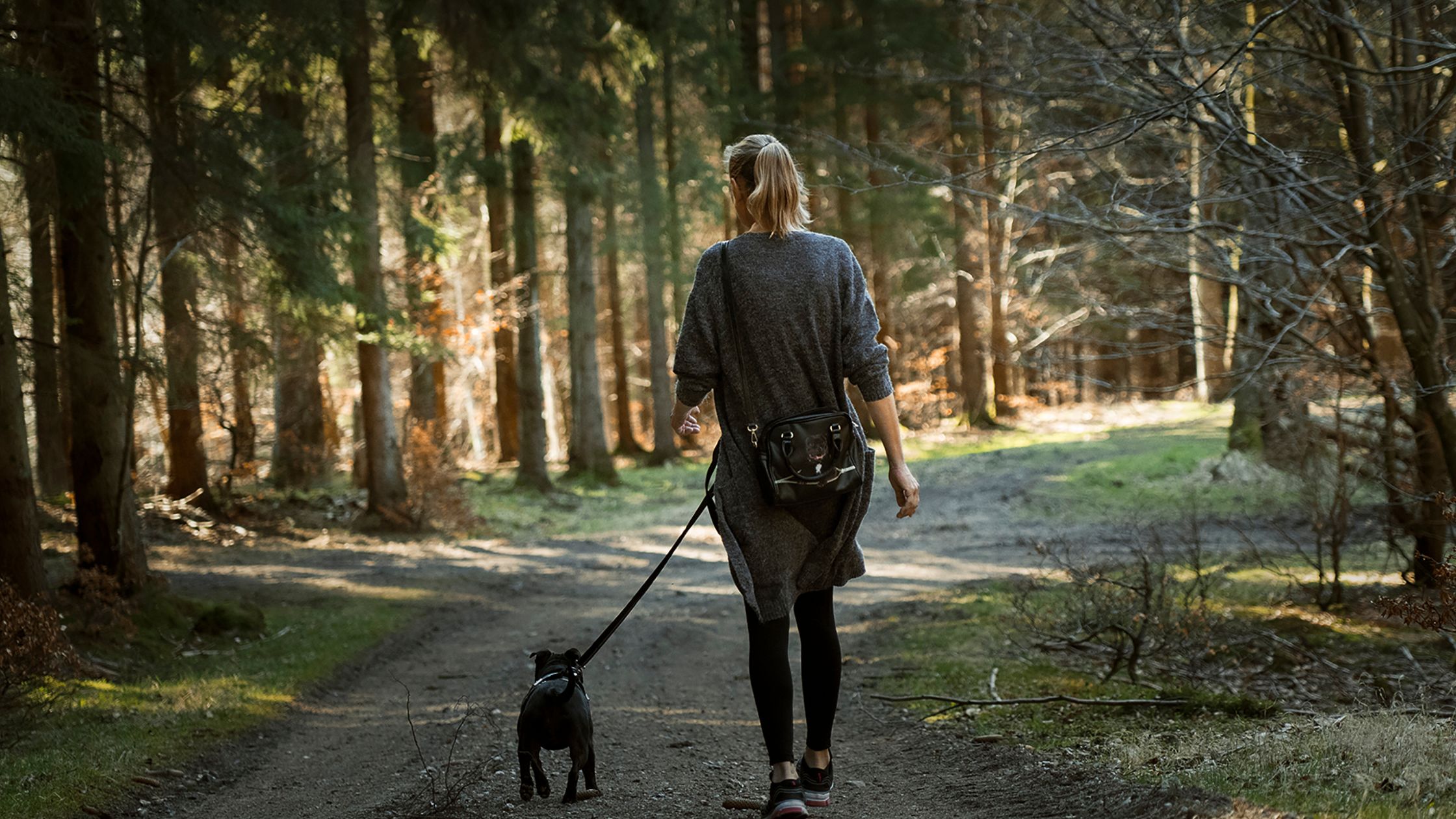 picture of a lady dog walking