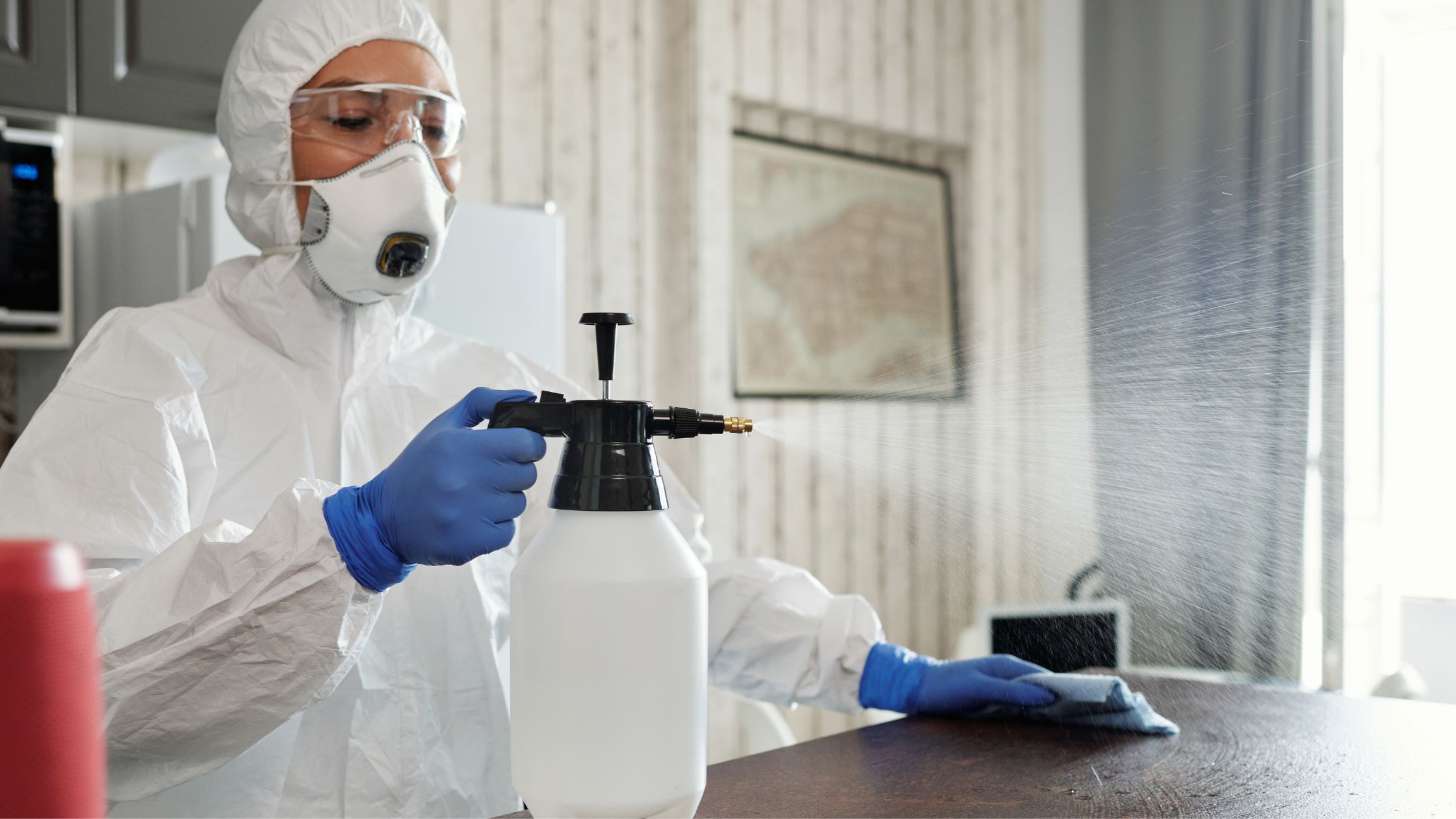 A lady spraying her home